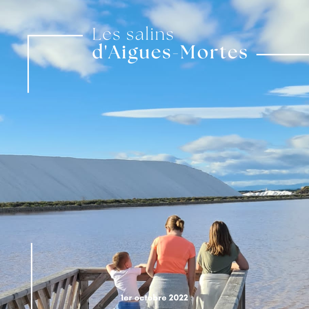 Les salins d'Aigues-Mortes