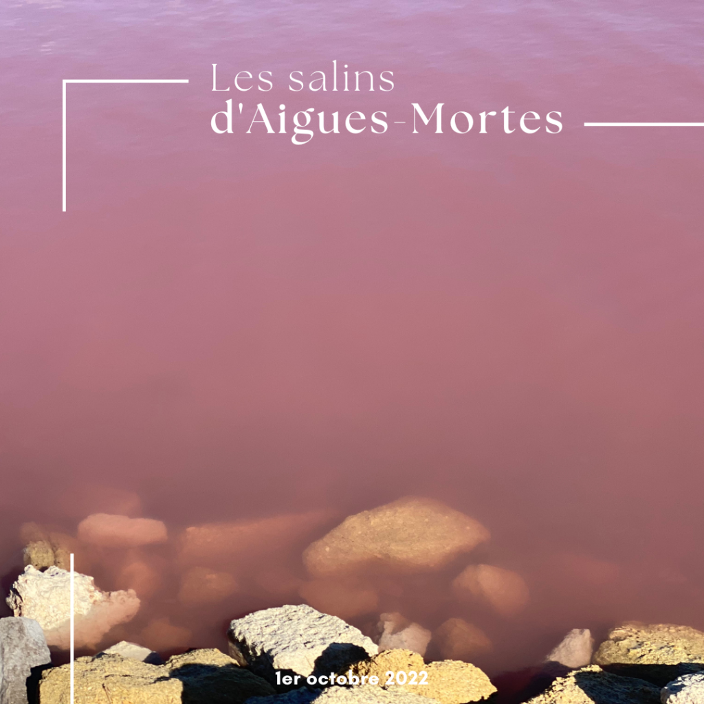 Les salins d'Aigues-Mortes