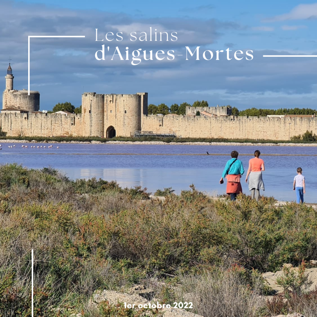 Les salins d'Aigues-Mortes