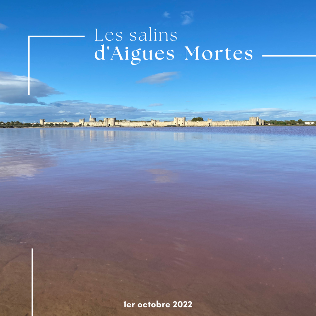 Les salins d'Aigues-Mortes