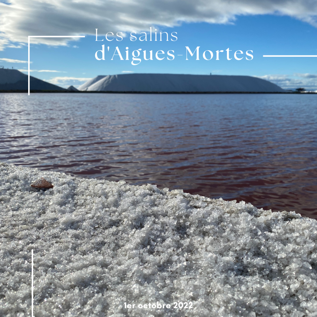 Les salins d'Aigues-Mortes