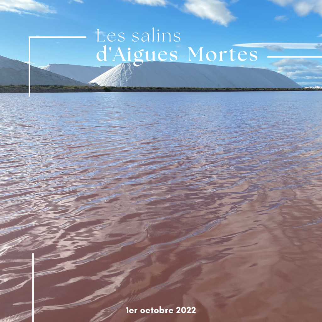 Les salins d'Aigues-Mortes