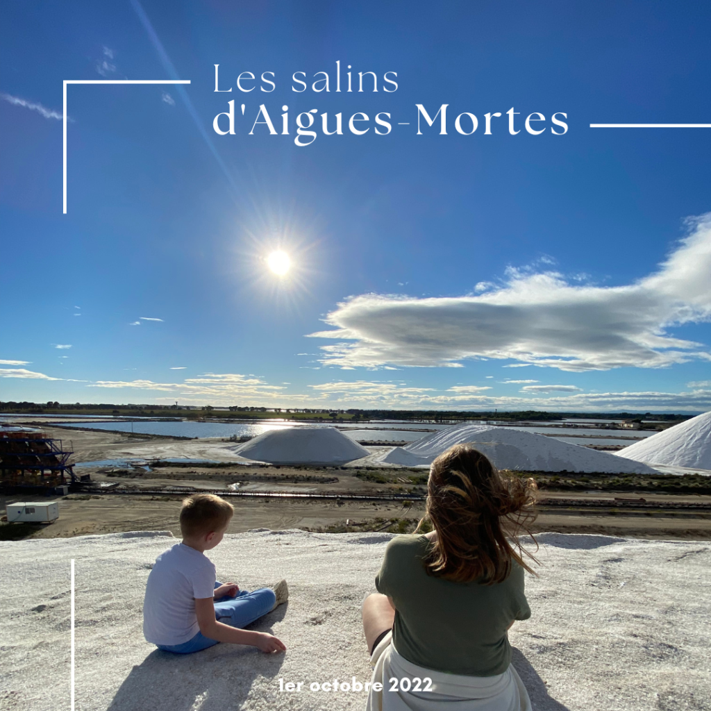 Les salins d'Aigues-Mortes