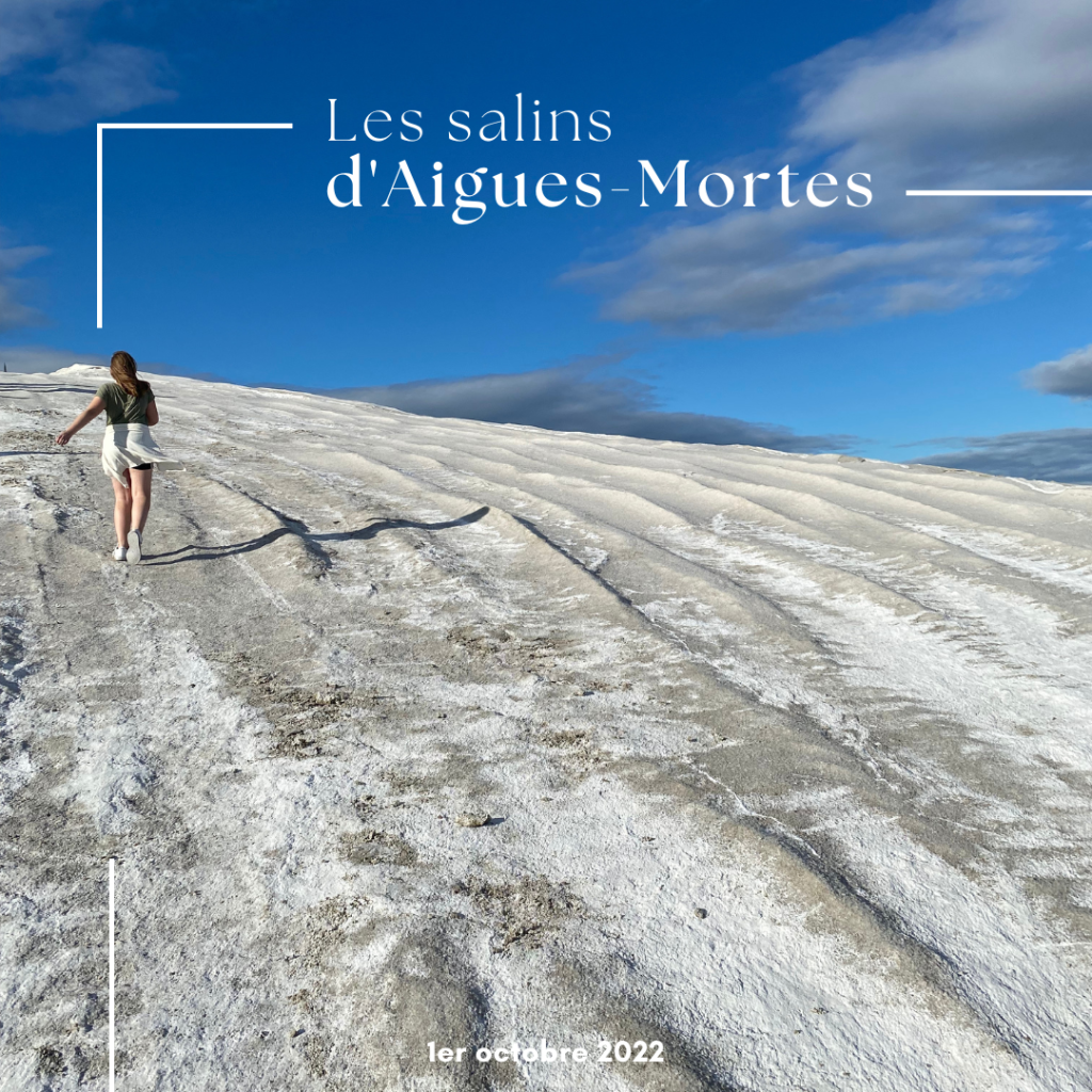 Les salins d'Aigues-Mortes