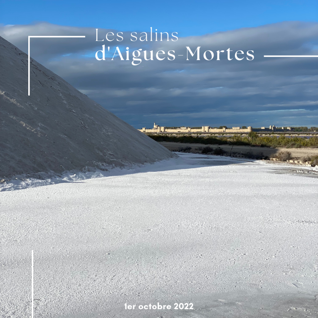 Les salins d'Aigues-Mortes